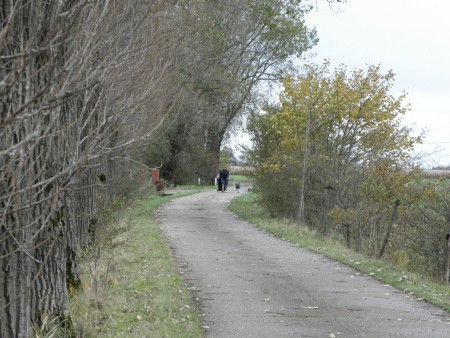 Uitzicht richting de openbare weg